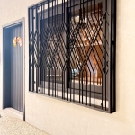 C9D-2028 1樘 樹林安裝案例 (2)