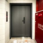 C9B-2040子母(FR-2910)  台中大門更換安裝推薦 加裝電子鎖  (2)